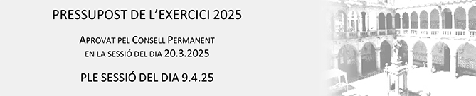 Pressupost exercici 2025